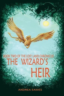 Andrea Eames - The Wizard's Heir: Book Two of The Lost Land Chronicles, Häftad. Tillgänglighet: Lägg i varukorg