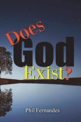 Phil Fernandes - Does God Exist?, Häftad. Tillgänglighet: Lägg i varukorg