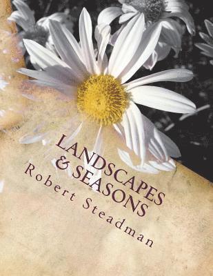 Robert Steadman - Landscapes & Seasons, Häftad. Tillgänglighet: Lägg i varukorg