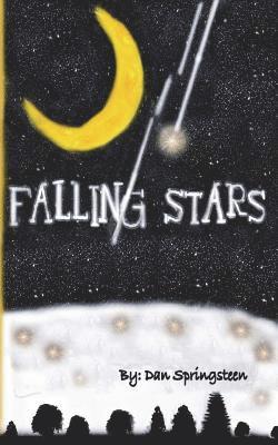 Wicked Muse, Dan Springsteen - Falling Stars, Häftad
