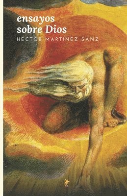 Héctor Martínez Sanz - Ensayos sobre Dios, Häftad. Tillgänglighet: Lägg i varukorg