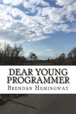 Brendan Hemingway - Dear Young Programmer: Things I Wish You Knew, Häftad. Tillgänglighet: Lägg i varukorg