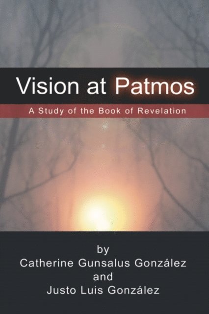 Justo L. Gonzalez, Gonzalez - Vision at Patmos, E-bok