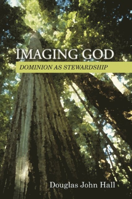Douglas John Hall - Imaging God, E-bok
