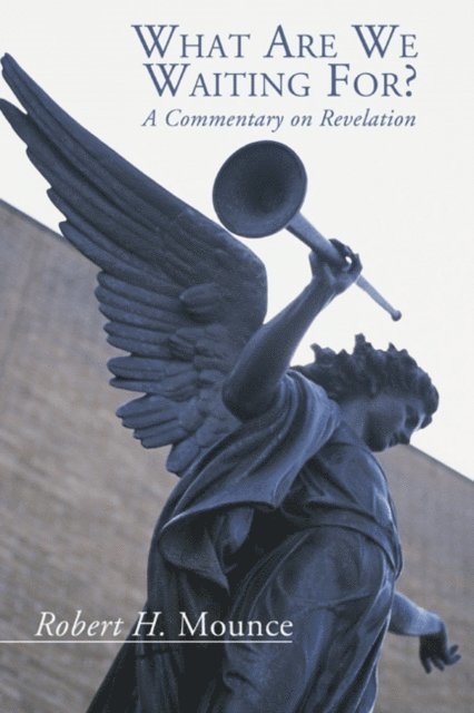 Robert H. Mounce - What Are We Waiting For?, E-bok
