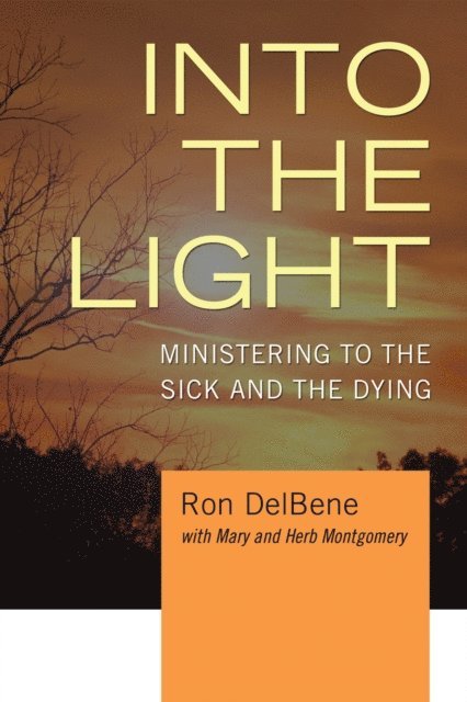 Ron DelBene, Herb Montgomery, Mary Montgomery - Into the Light, E-bok