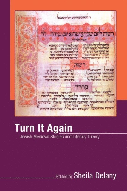 Sheila Delany - Turn It Again, E-bok