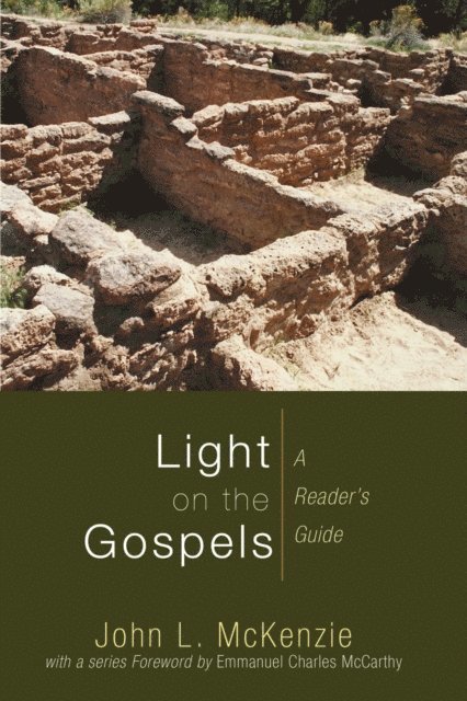 John L. McKenzie - Light on the Gospels, E-bok