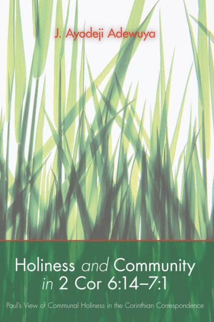 J. Ayodeji Adewuya - Holiness and Community in 2 Cor 6:14-7:1, E-bok