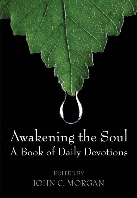 John C. Morgan - Awakening the Soul, E-bok