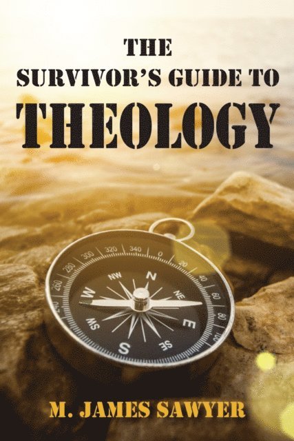 M. James Sawyer - Survivor's Guide to Theology, E-bok