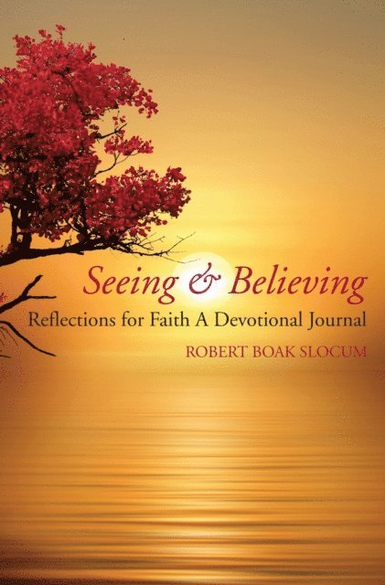 Robert Boak Slocum - Seeing & Believing, E-bok