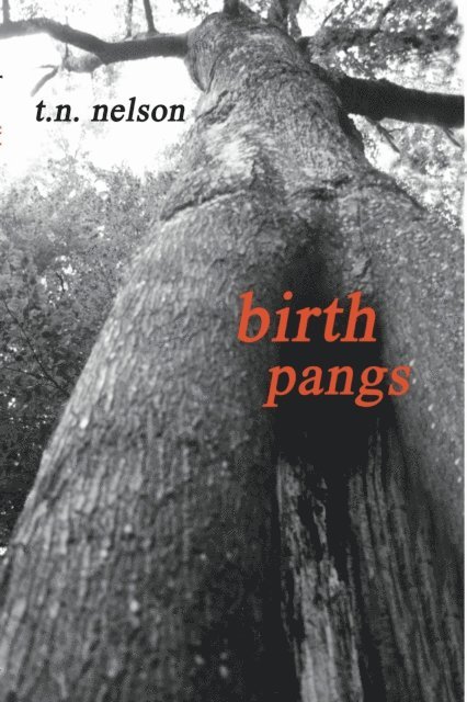 Tim Nelson - Birth Pangs, E-bok