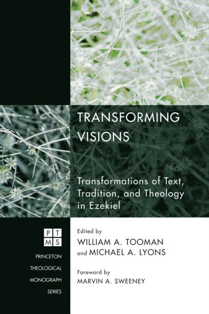 Michael A. Lyons, William A. Tooman - Transforming Visions, E-bok