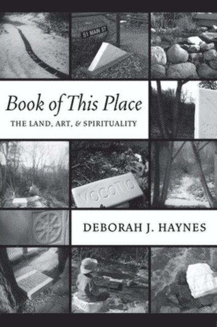 Deborah J. Haynes - Book of This Place, E-bok