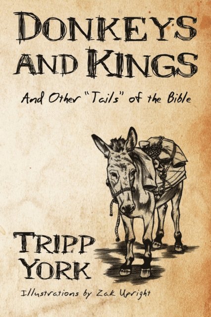 Tripp York - Donkeys and Kings, E-bok