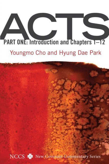 Hyung Dae Park, Youngmo Cho - Acts, Part One, E-bok