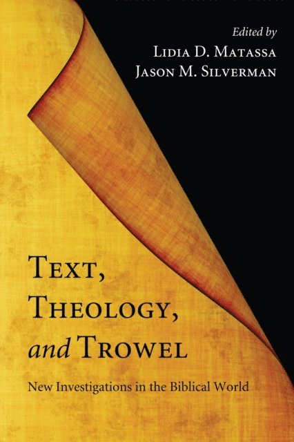Jason M. Silverman, Lidia D. Matassa - Text, Theology, and Trowel, E-bok