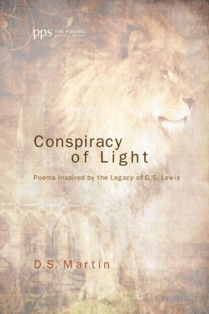 D. S. Martin - Conspiracy of Light, E-bok