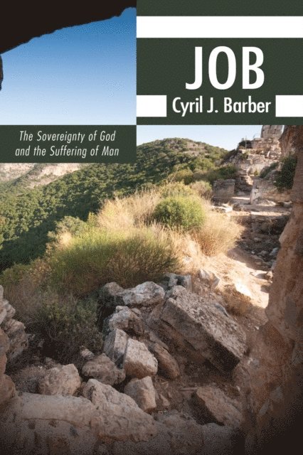 Cyril J. Barber - Job, E-bok