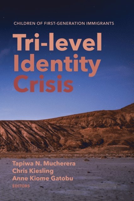 Anne Kiome Gatobu, Chris Kiesling, Tapiwa N. Mucherera - Tri-level Identity Crisis, E-bok