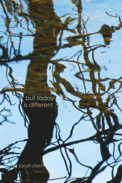 Sarah Stern - But Today Is Different, E-bok