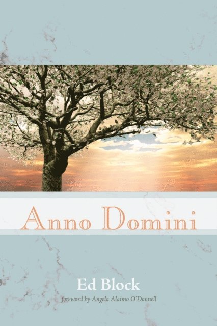 Ed Block - Anno Domini, E-bok
