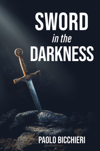 Paolo Bicchieri - Sword in the Darkness, E-bok
