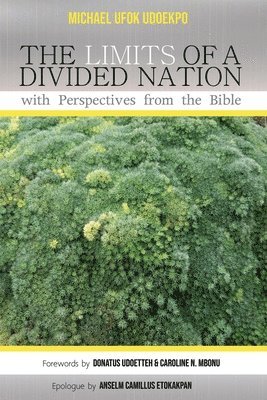 Michael Ufok Udoekpo - Limits of a Divided Nation with Perspectives from the Bible, Inbunden