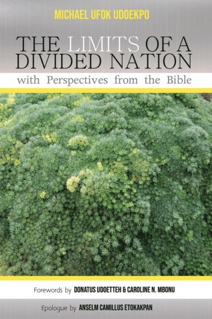 Michael Ufok Udoekpo - Limits of a Divided Nation with Perspectives from the Bible, E-bok