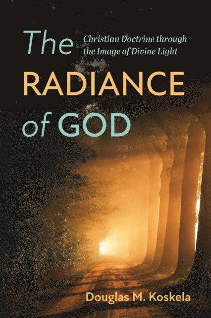 Douglas M. Koskela - Radiance of God, E-bok