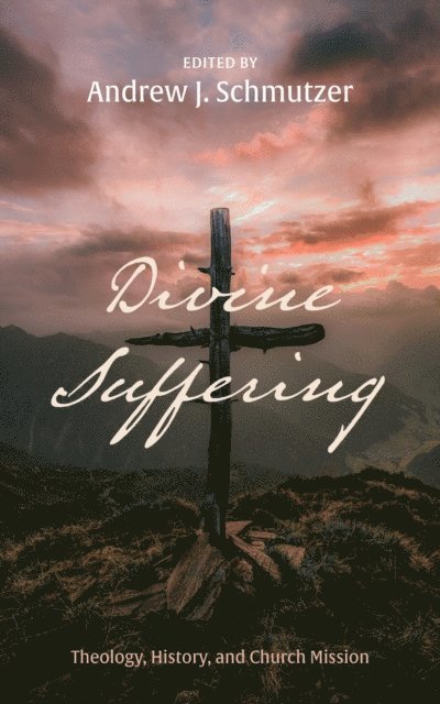 Andrew J. Schmutzer - Divine Suffering, E-bok
