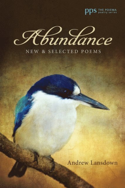 Andrew Lansdown - Abundance, E-bok
