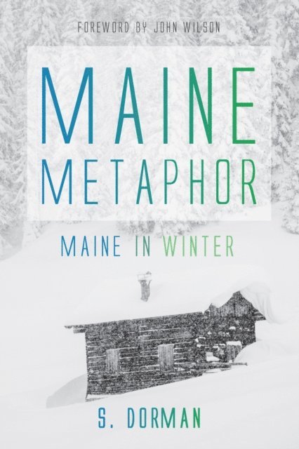 S. Dorman - Maine Metaphor: Maine in Winter, E-bok