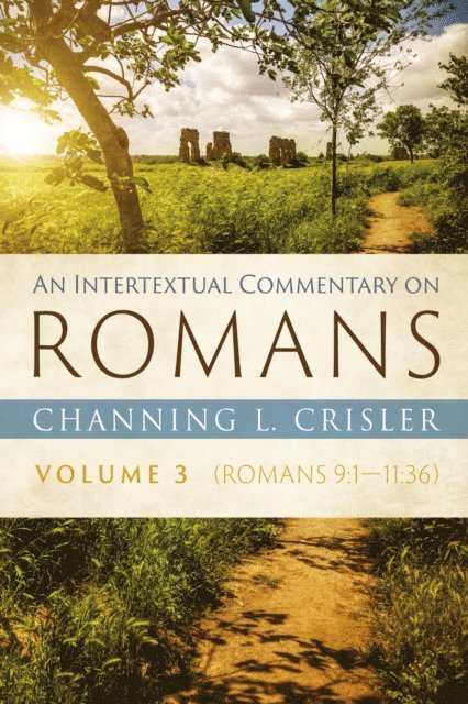 Channing L. Crisler - Intertextual Commentary on Romans, Volume 3, E-bok