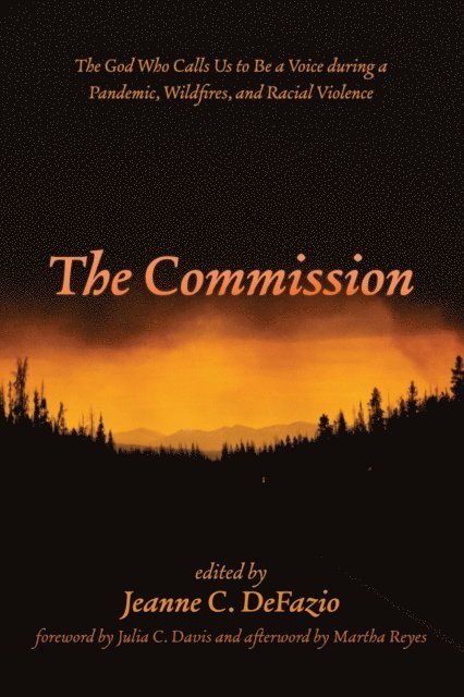 Jeanne C. DeFazio - Commission, E-bok