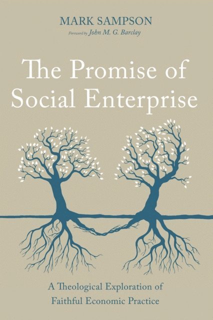 Mark Sampson - Promise of Social Enterprise, E-bok