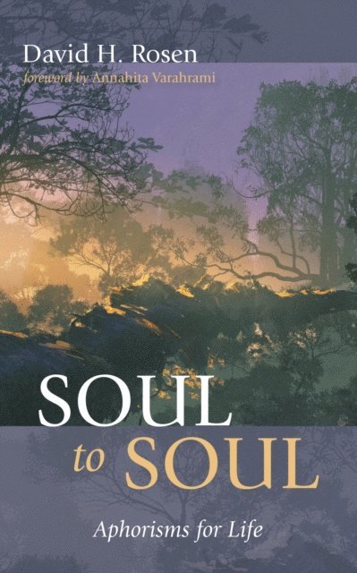 David H. Rosen - Soul to Soul, E-bok
