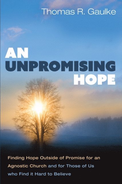 Thomas R. Gaulke - Unpromising Hope, E-bok