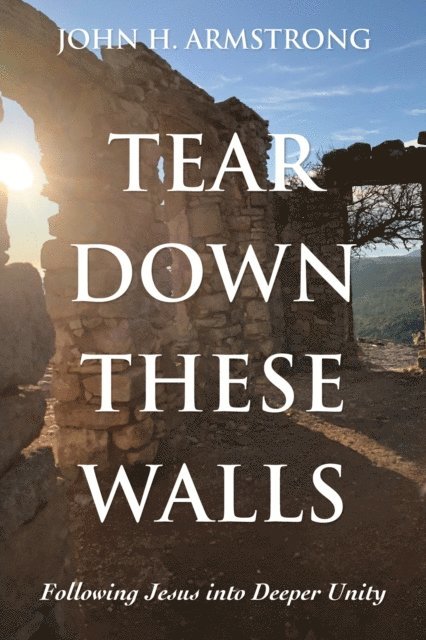 John H. Armstrong - Tear Down These Walls, E-bok