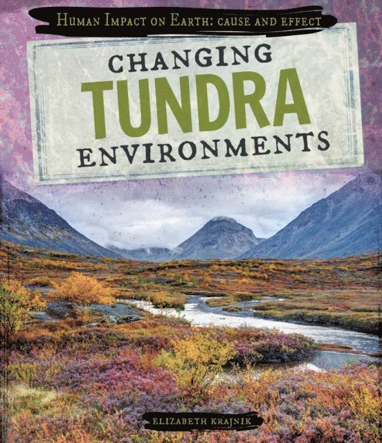 Changing Tundra Environments