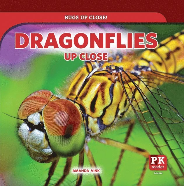 Dragonflies Up Close