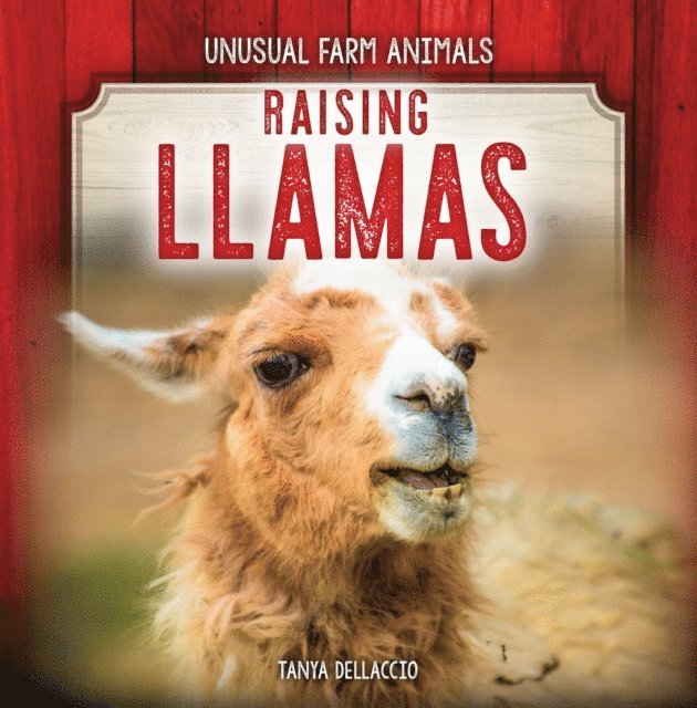 Raising Llamas