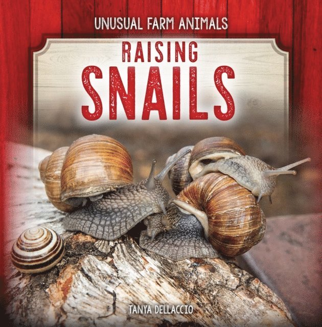 Raising Snails