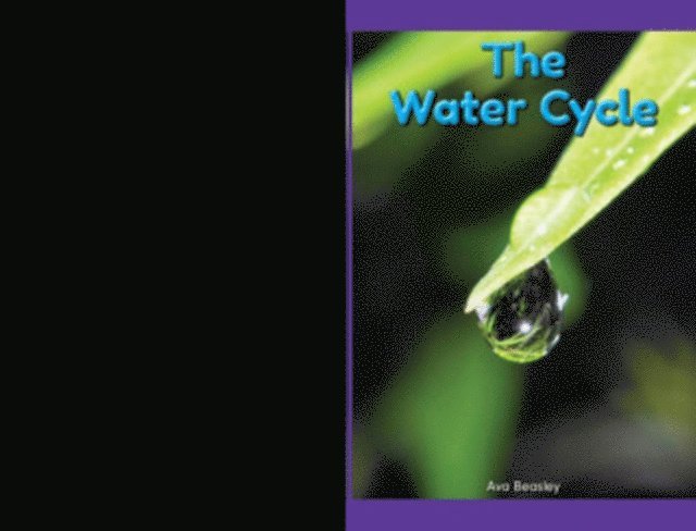 Ava Beasley - Water Cycle, E-bok