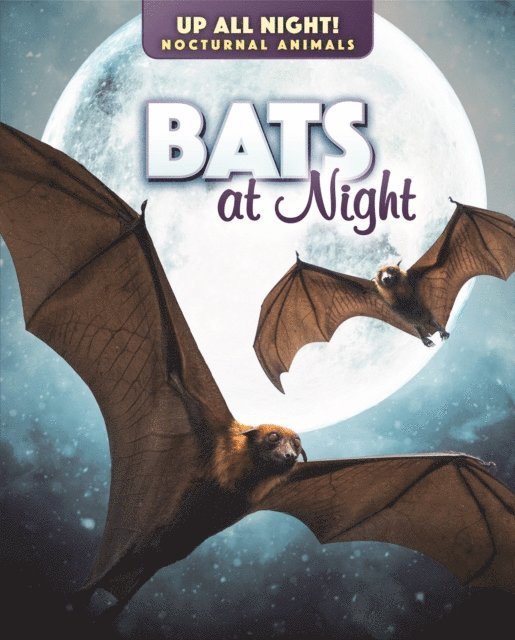 Kathleen A. Klatte - Bats at Night, E-bok. Tillgänglighet: Lägg i varukorg