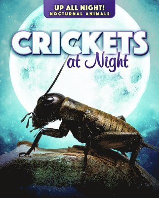 Kathleen A. Klatte - Crickets at Night, Inbunden