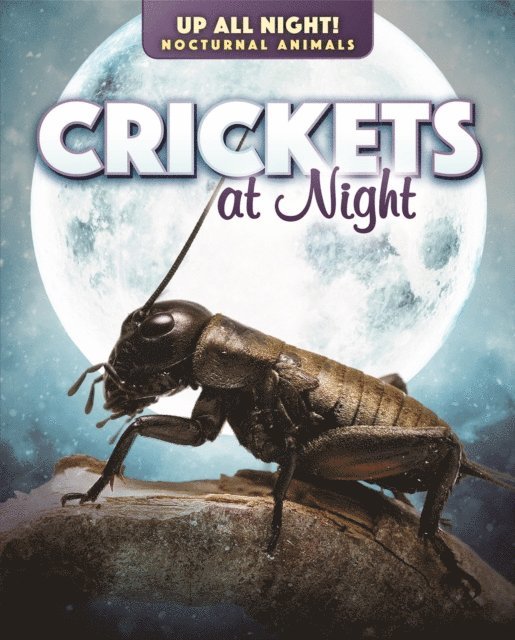 Kathleen A. Klatte - Crickets at Night, E-bok. Tillgänglighet: Lägg i varukorg
