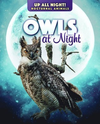 Kathleen A. Klatte - Owls at Night, Inbunden