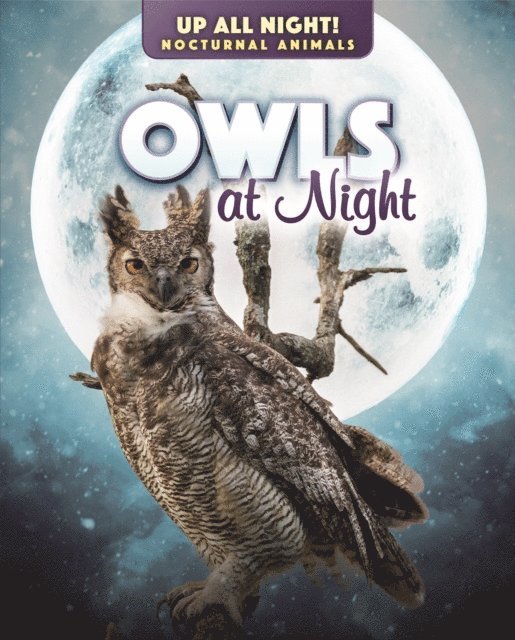 Kathleen A. Klatte - Owls at Night, E-bok. Tillgänglighet: Lägg i varukorg